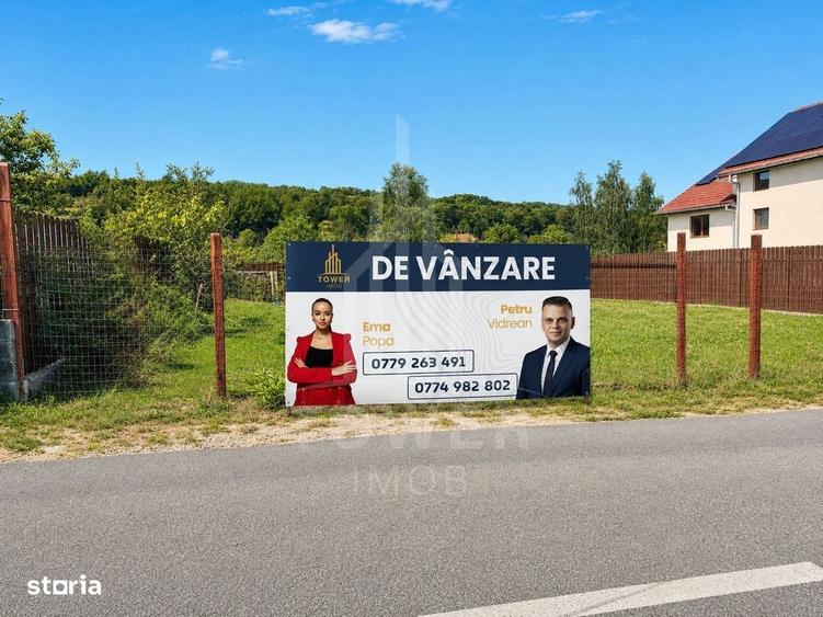 Teren intravilan de vanzare in Sibiel 344 mp, cu PUZ aprobat - 2