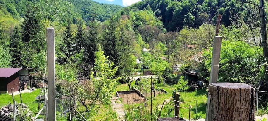 Casă cu Teren 1800 Mp în Cosmina de Sus