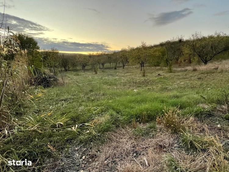 Teren de 833 mp, în Apahida