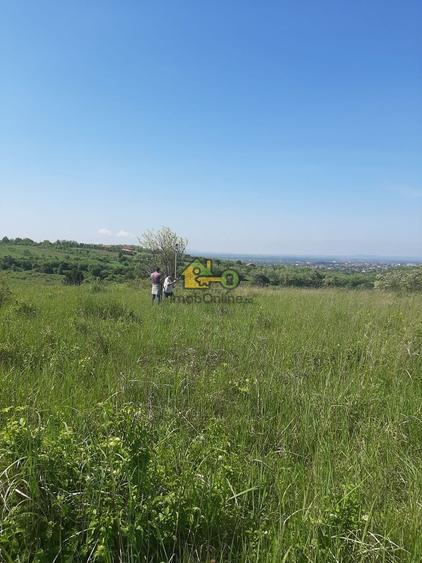 Teren agricol extravilan de 21434 mp, în Nord-Est