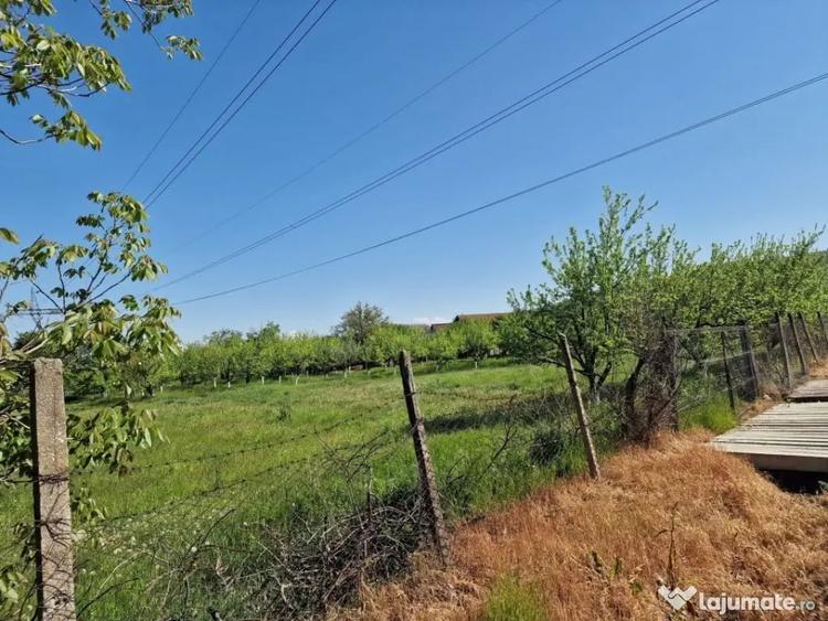 Teren în Călinești