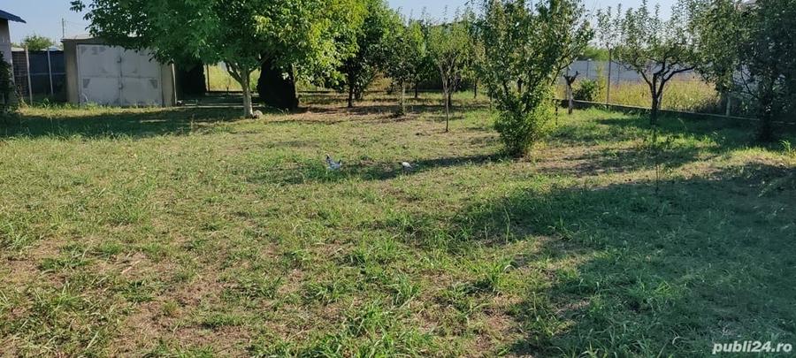 Teren de 650 mp, în Central