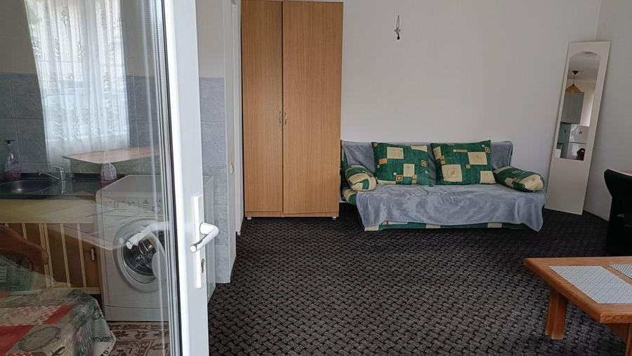 Casă cu 1 camere în Dosu Bricii