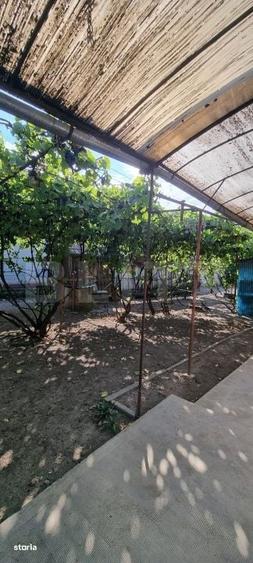 Casa cu 3 camere, anexe, curte si gradina - 7