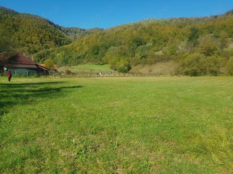Teren de 4500 mp, în Ciucea