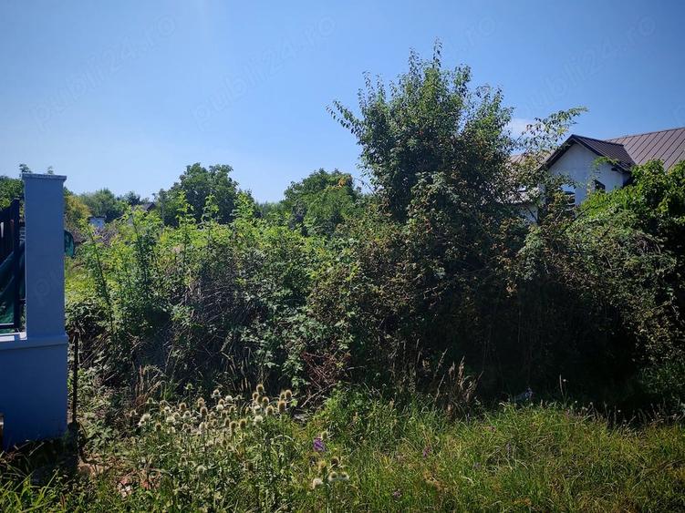 Teren de 4550 mp, în Sud