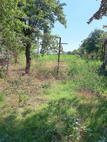 Casă cu 5 camere cu Teren 1740 Mp în Movila Miresii