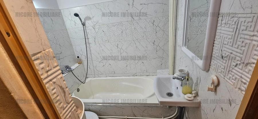  Apartament 1 camera - complet mobilat si utilat - etaj 2 - 250 euro - 5
