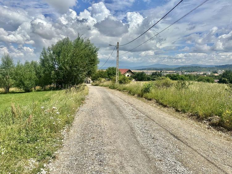 Teren Construcții intravilan de 3600 mp, în Poiana Angelescu