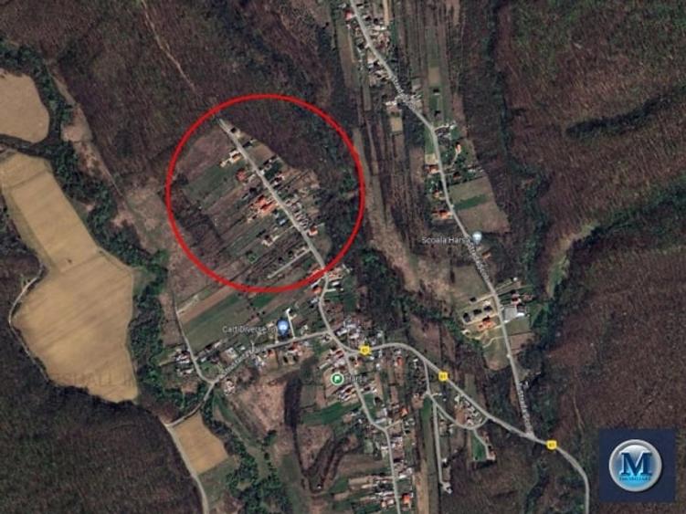 Teren Construcții intravilan de 3604 mp, în Hârsa