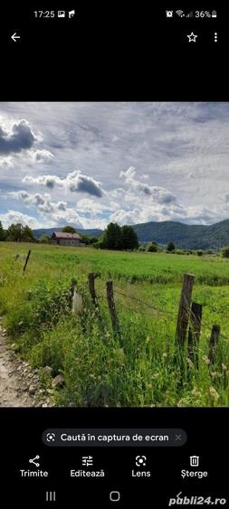 Teren de 3382 mp, în Viișoara