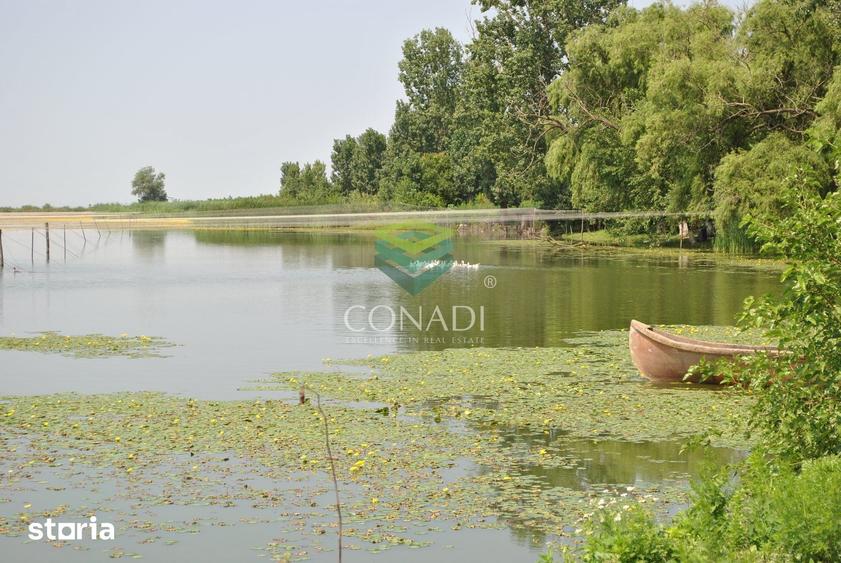 Teren de 2270000 mp, în Ciocănești