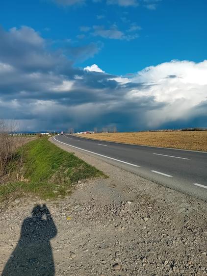Teren de 23000 mp, în Oșorhei