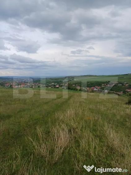 Teren de 1249 mp, în Copăceni