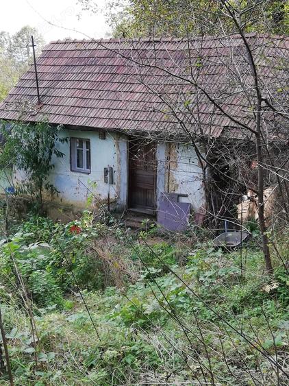Teren de 11650 mp, în Valea Borcutului