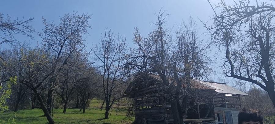 Casa de vanzare Boteni - 8