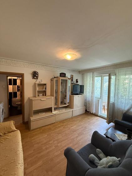 3 camere Pacurari Alphabank - etaj 2 - 100000 euro - 1
