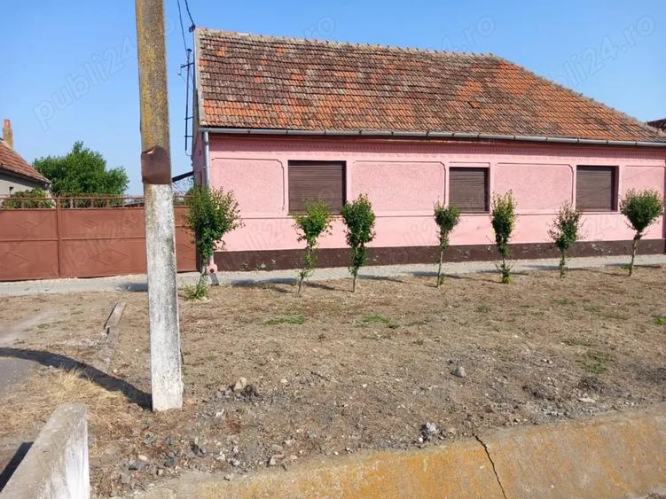 Casă cu 4 camere cu Teren 2877 Mp în Breștea