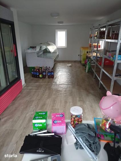 Casă cu 3 camere cu Teren 1700 Mp în Giurgița