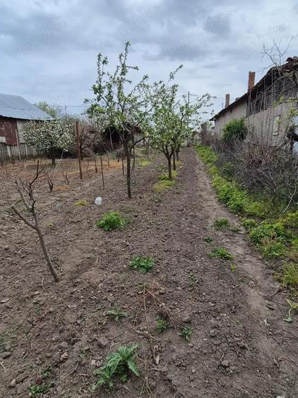 Teren în Miloșești