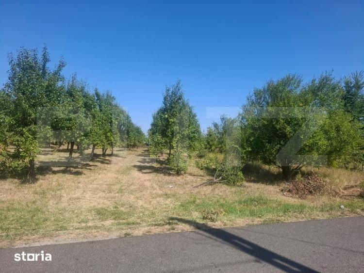 Teren de 2493 mp, în Cobia