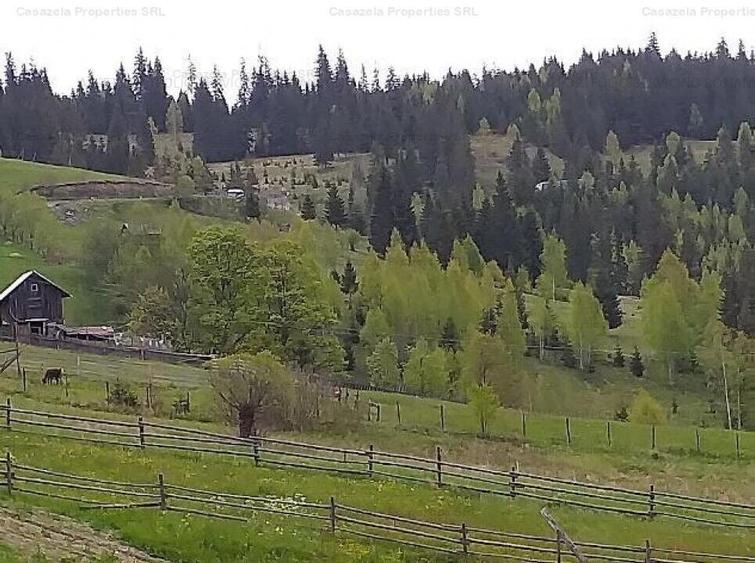 Teren extravilan de 14485 mp, în Iacobeni