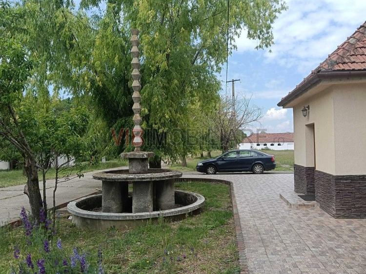 Ferma complet utilată – 30 ha teren comasat cu 11.500mp grajduri renovate Timiș - 1
