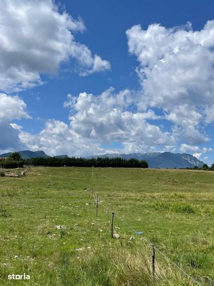 Teren de 5000 mp, în Bran