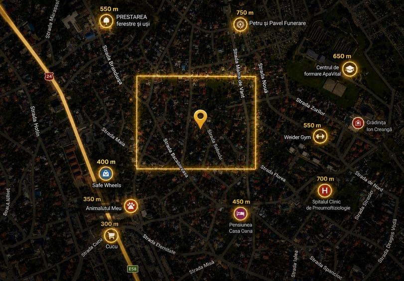 Casă individuală cu 24 camere cu Canalizare în Podul de Fier