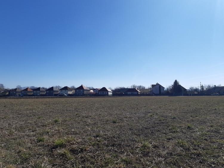 Teren Construcții intravilan de 4650 mp, în Lunca Calnicului