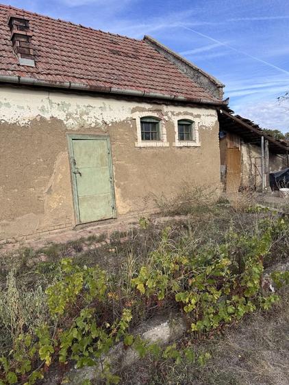 Casă cu 3 camere în Gelu
