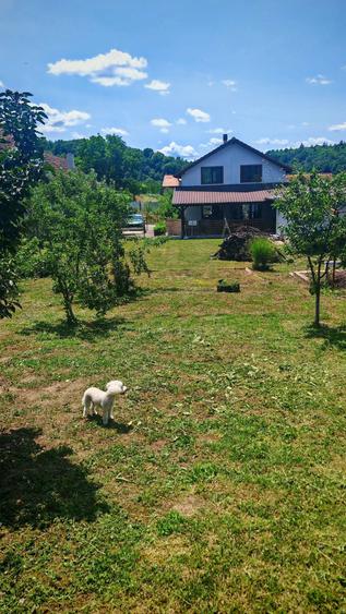 Casă cu Teren 1100 Mp în Buzad