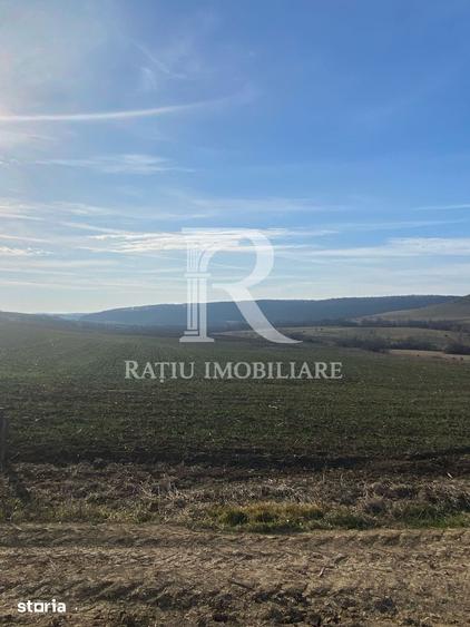 Teren de 3900 mp, în Hidiș