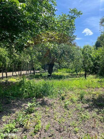 Casa de vanzare Puchenii Mari, la 15 km de Ploie?ti - 12