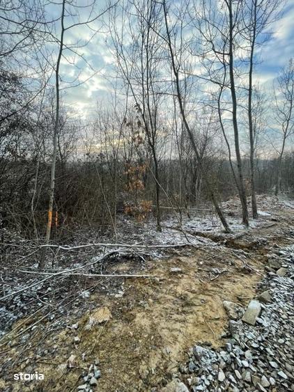 Teren de 868 mp, în Cicârlău