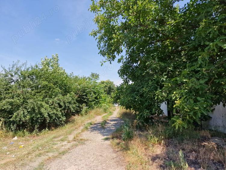 Vanzare teren intravilan 3800 mp, DN Bucuresti-Urziceni - 2
