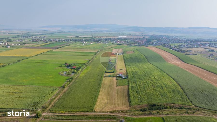 COMISION 0% | 9 parcele | erenuri pentru construc?ia de case Bod - 8