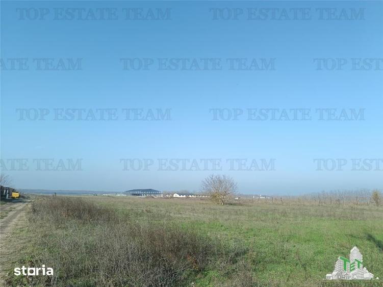 Teren de 8050 mp, în Gruiu