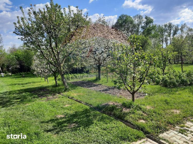 Casă cu 2 camere cu Teren 1836 Mp în Beclean