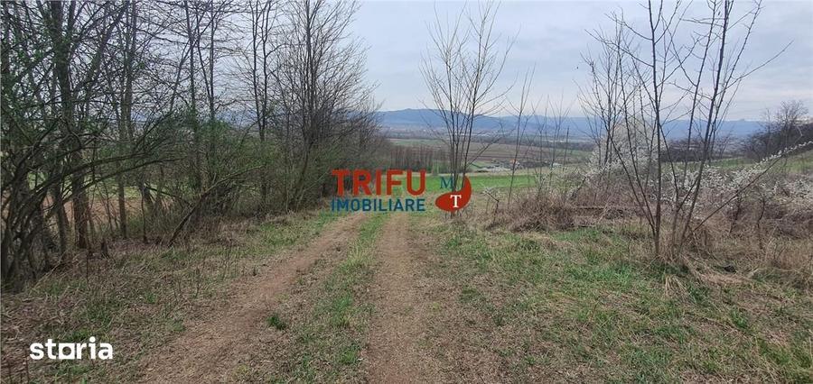 Teren de 5300 mp, în Ciugud