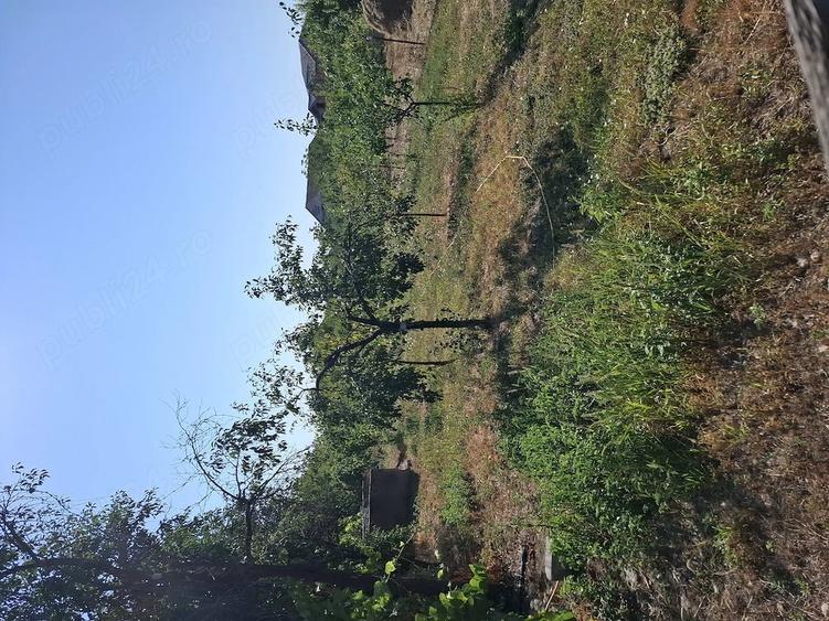 Casă cu 3 camere cu Teren 1000 Mp în Cicir