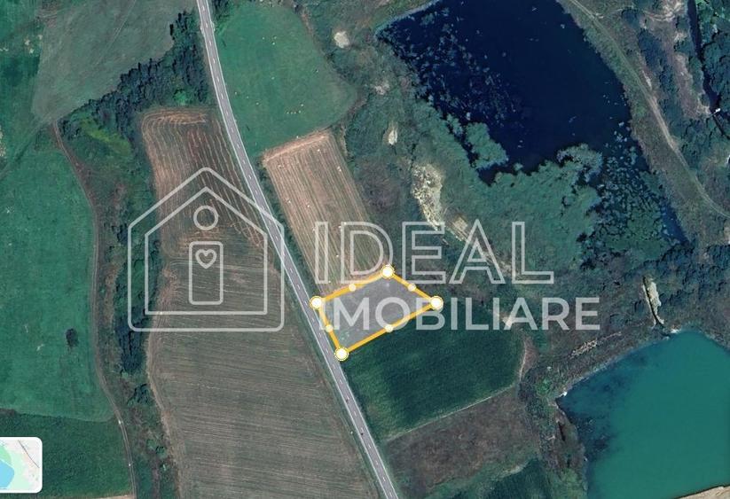 Teren agricol extravilan de 2719 mp, în Cârțișoara