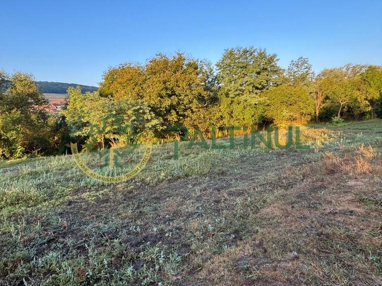 Teren agricol intravilan de 2617 mp, în Loamneș