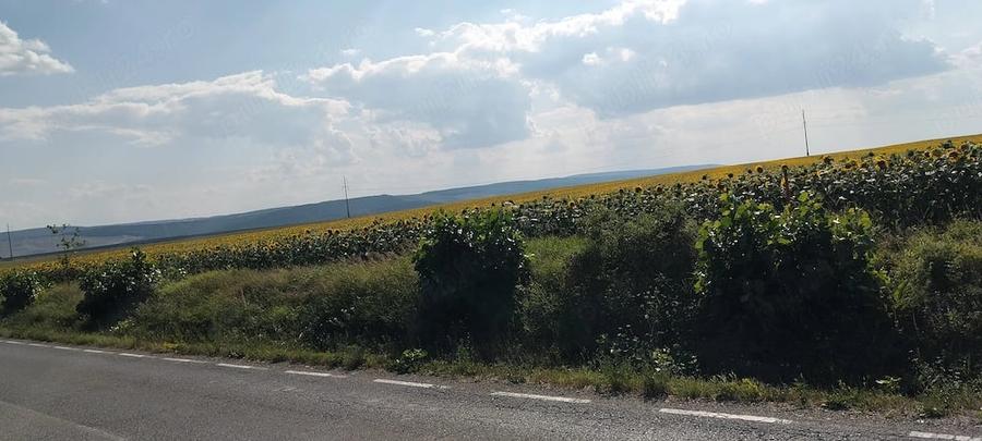 Teren de 14000 mp, în Vorovești