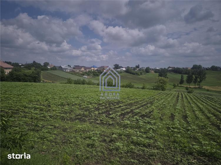 Teren intravilan Moara Nica - zona Scolii - 1