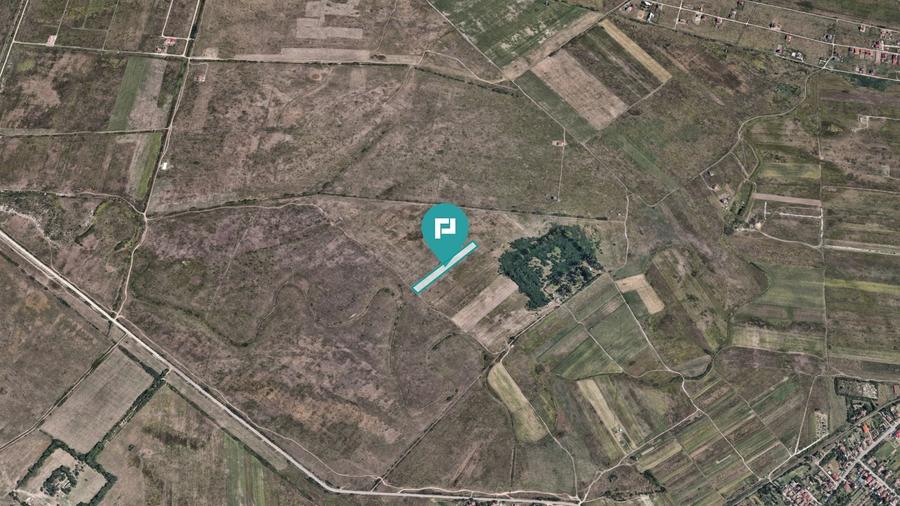 Teren Construcții extravilan de 10000 mp, în Moșnița Nouă