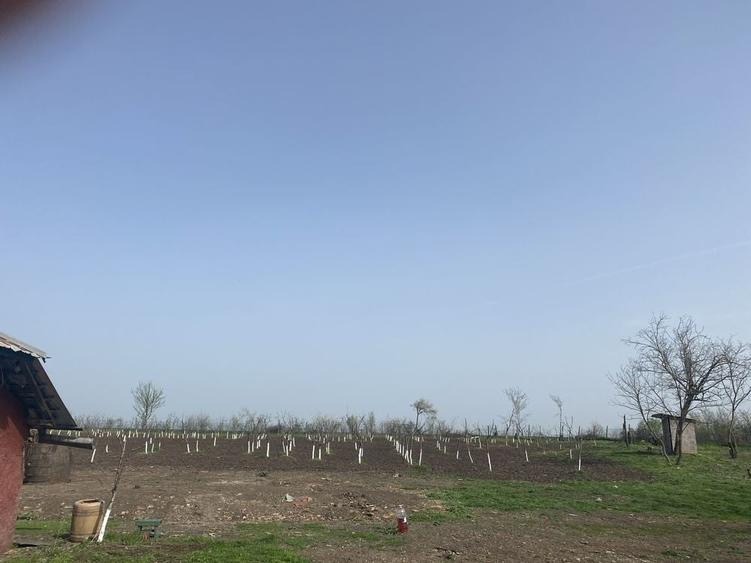 Casă cu 4 camere cu Teren 8500 Mp în Răsuceni
