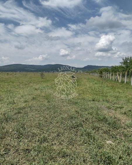 Teren agricol extravilan de 23700 mp, în Jelna
