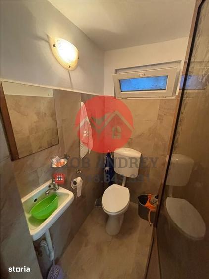 Casa centrala Tulcea, 2 corpuri, garaj, gata de mutare - 16