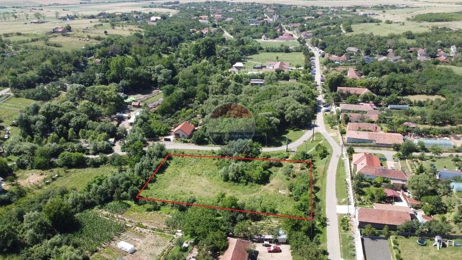 Teren Construcții intravilan de 2877 mp, în Pișchia